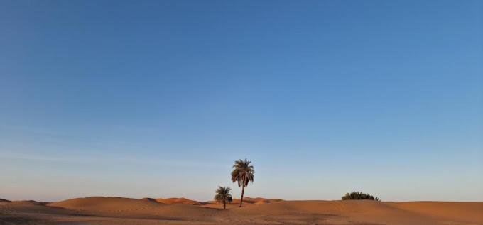 Kasbah Hotel Panorama Merzouga Dış mekan fotoğraf