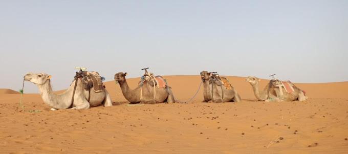 Kasbah Hotel Panorama Merzouga Dış mekan fotoğraf